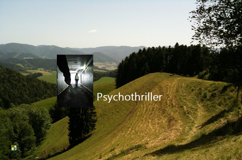 Psychothriller in Planung